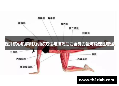 提升核心肌群耐力训练方法与技巧助力全身力量与稳定性增强